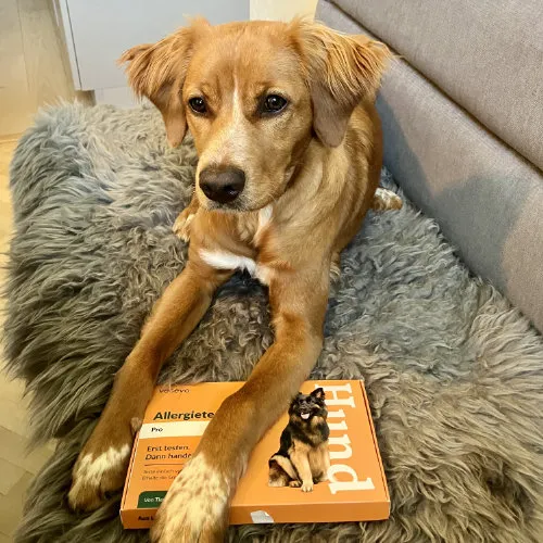 Erfahrungen mit dem Vetevo Allergietest für den Hund