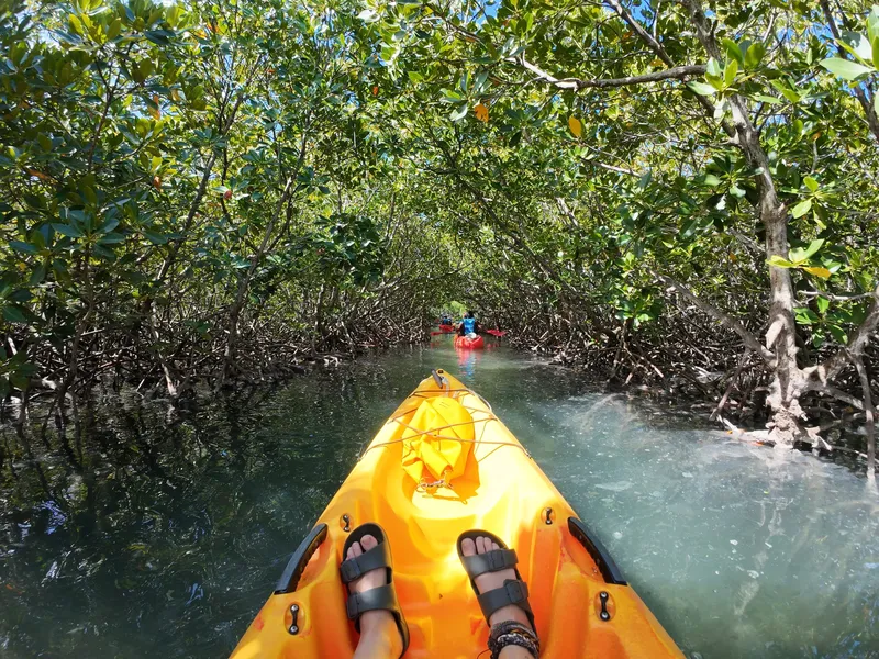 Amber Island