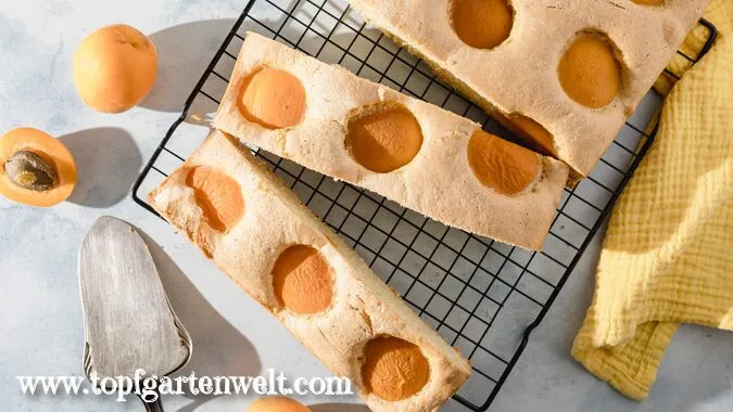 Leckerer Aprikosenkuchen vom Blech