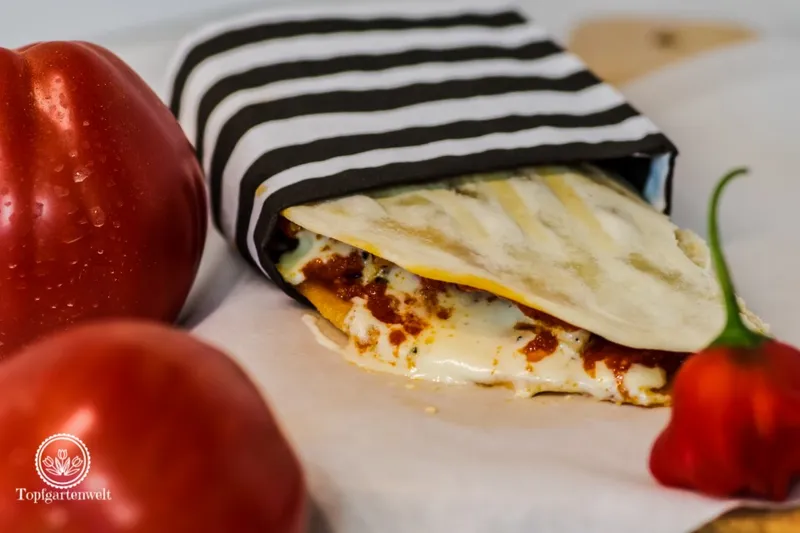 Die besten Piadina gefüllt mit Pesto und Hähnchen