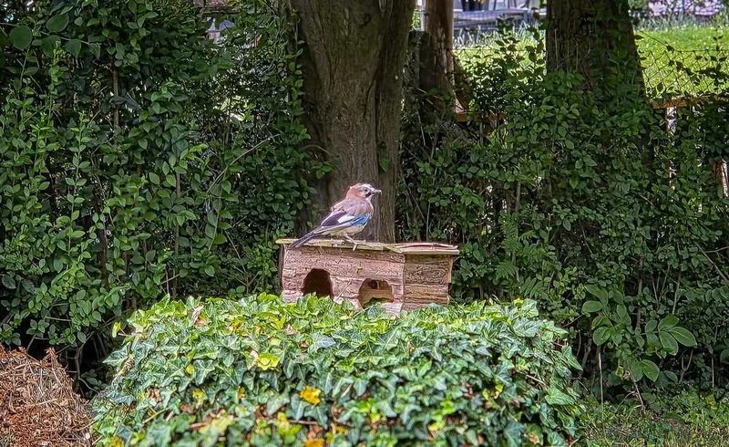 Garten schlägt Fußball-WM