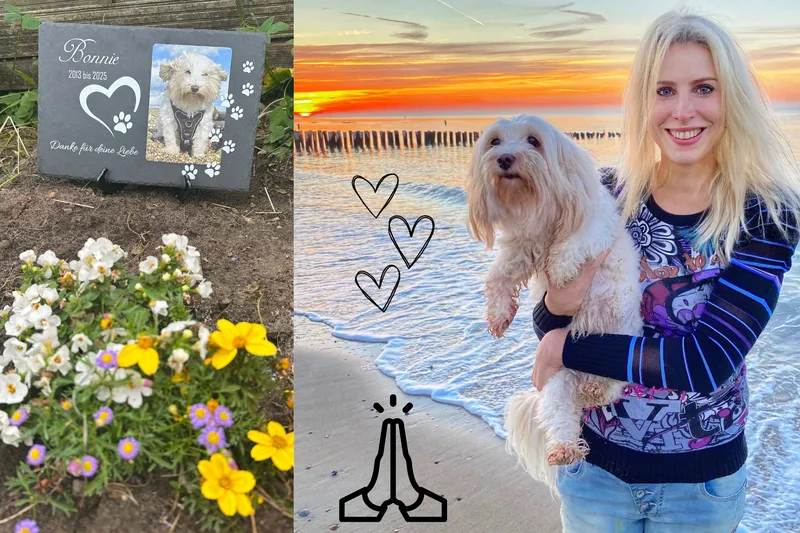 Bonnie war unser erster Hund und bleibt unvergessen
