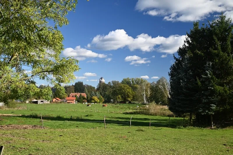 Wo Kraniche rufen und die Zeit ruht – Rundweg um die Burg Ziesar