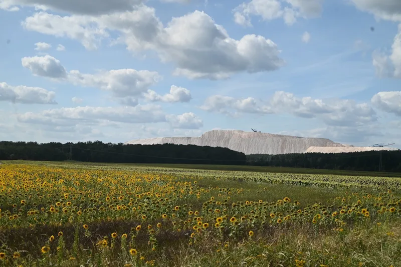 Kalimandscharo und Wasserstraßenkreuz: Eine entspannte Radtour