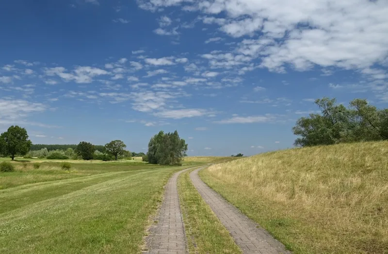 Eine entspannte Radtour durch die idyllische Altmärkische Wische