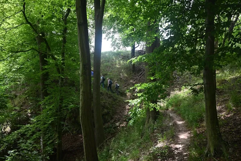 Wanderung durch den wildromantischen Rabenauer Grund