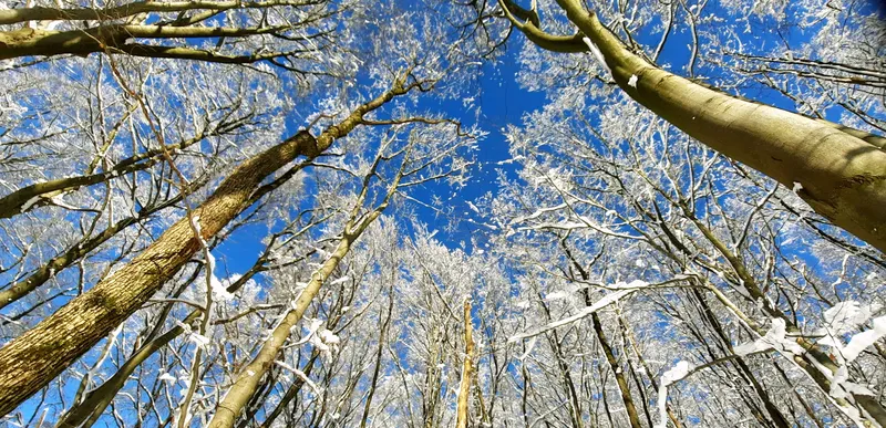 Schneezauber im Bergischen Land