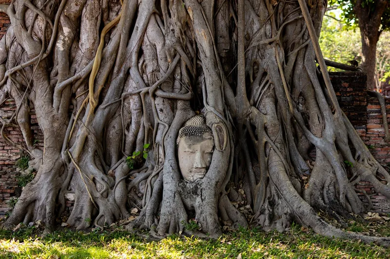 Ayutthaya Guide: Die schönsten Tempel & Tipps für deinen Besuch