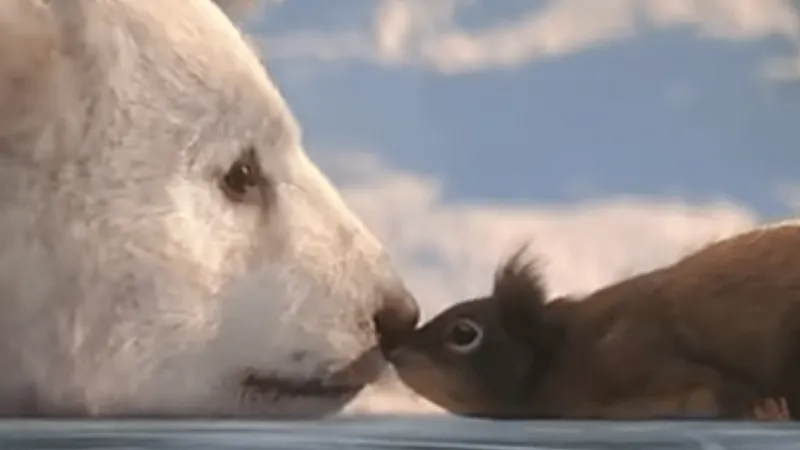 Animationsfilm Eisbär und Eichhörnchen