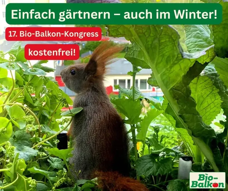 Bio-Balkon-Kongress 2025: Hol dir wertvolle Tipps für deinen grünen Balkon