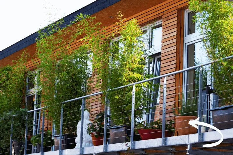 Asiatischer Flair auf dem Balkon: So dekorierst du deinen Balkongarten