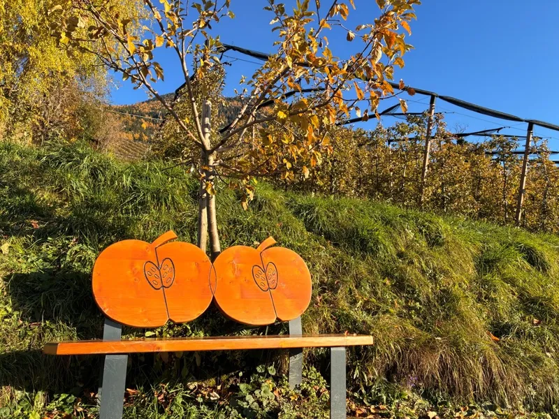 Auf dem Schennaer Waalweg von Verdins zum Genuss im Hohenwart