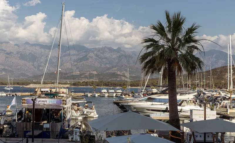 Korsika-Roadtrip in 5 Tagen: Eine genial vielseitige Route von Calvi nach Ajaccio