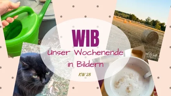 2 Wochen Ferien schon rum, ohweh... WiB 11. + 12.07.2026
