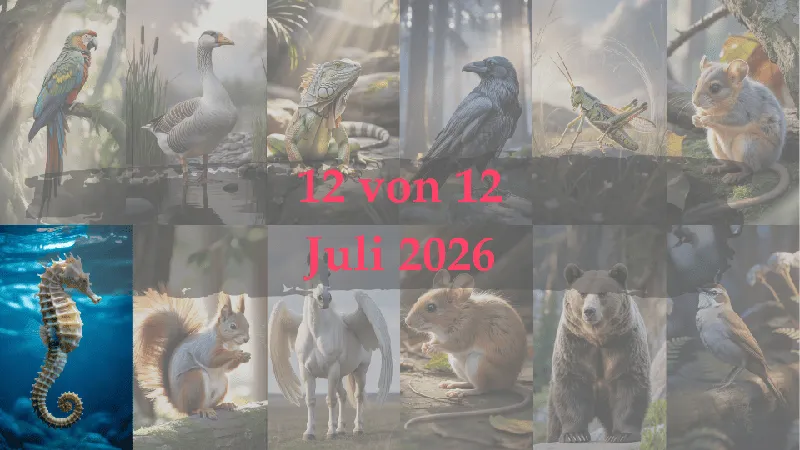 12 von 12 – Juli 2026 – Seepferdchen