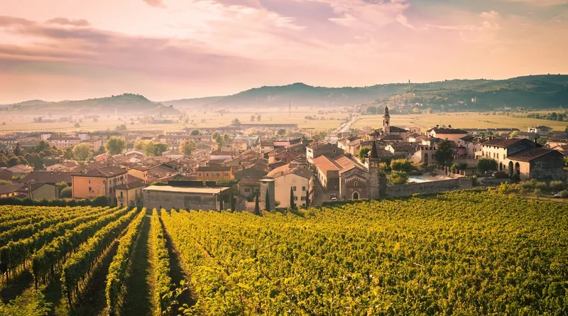 Soave-Wein: Kennst du schon das Geheimnis hinter dem eleganten Weißwein aus Italien?