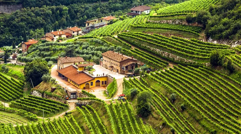 Valpolicella-Wein: Anbaugebiet mit Tradition und Bumms