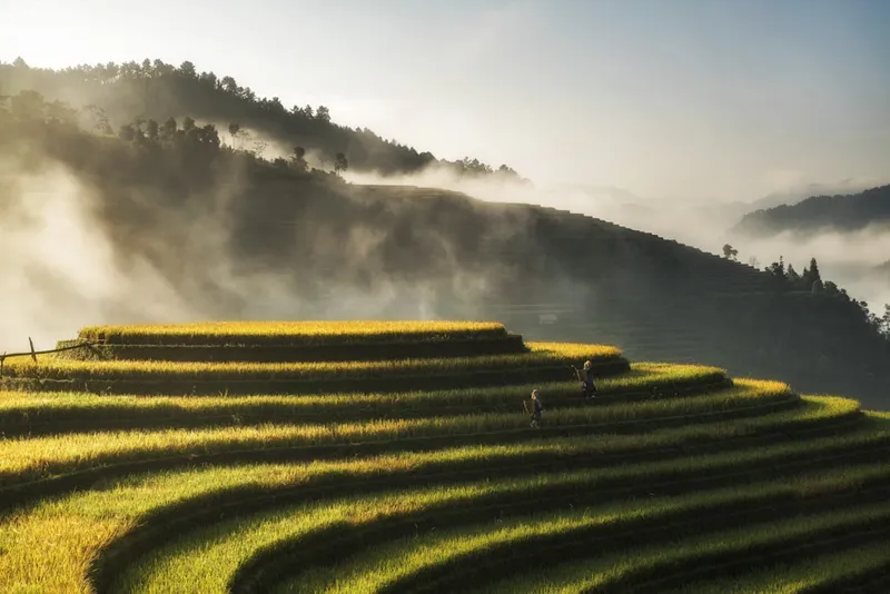 Vietnam mit Gebeco: 100 Euro sparen und garantiert reisen