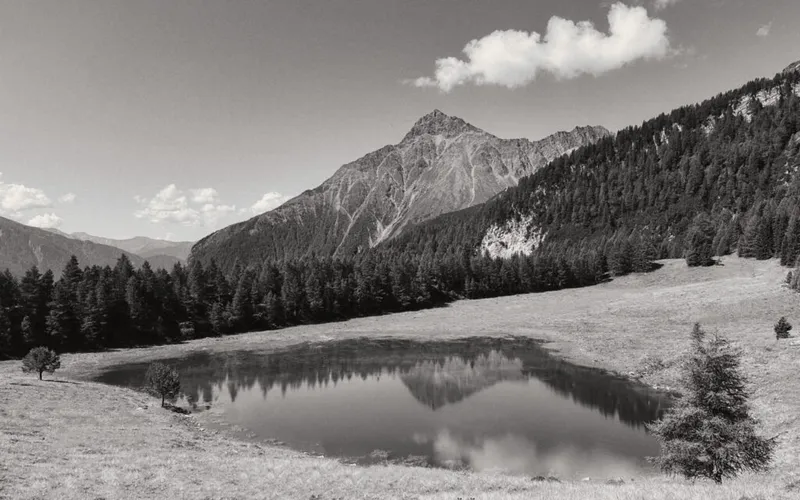 Fotoprojekt – Spiegelungen – 2025#Dezember