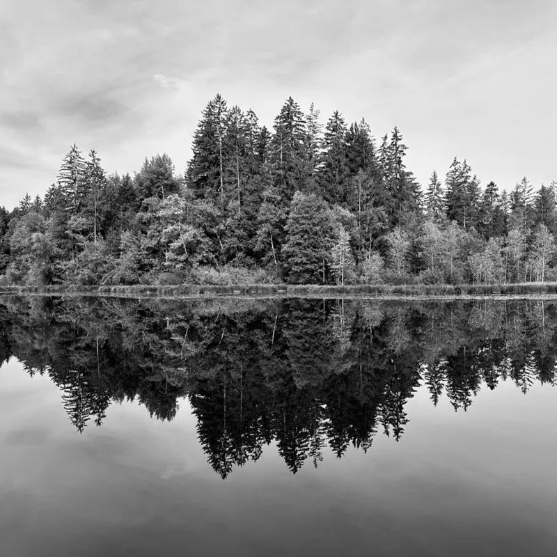 Fotoprojekt – Spiegelungen – 2025#September