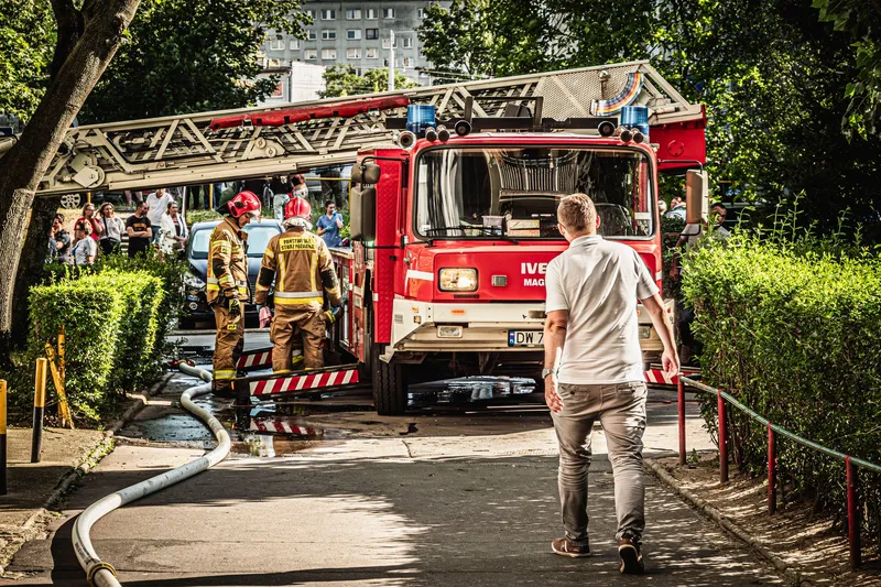 Vitafant Grüne Helfer seriös? Erfahrungen, Fakten & Einordnung