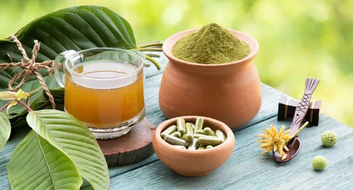 Kratom im Trend – was steckt hinter dem unbekannten Baum?