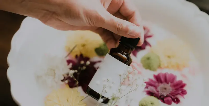 Warum ist CBD in Berlin so beliebt? Bloßer Hype oder grüner Alleskönner?
