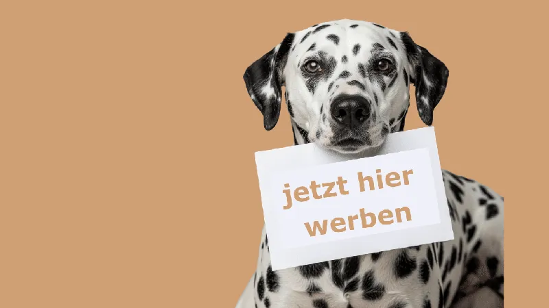 Werde Partner 🐶