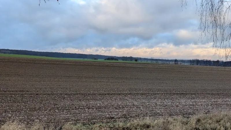 Wintersternritt in Brandenburg – Tag 3