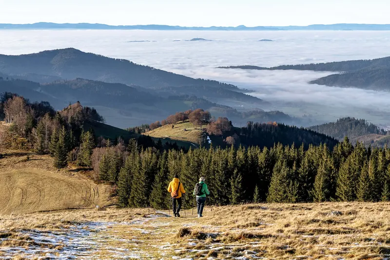 Meine 5 schönsten Wanderungen im Dreisamtal
