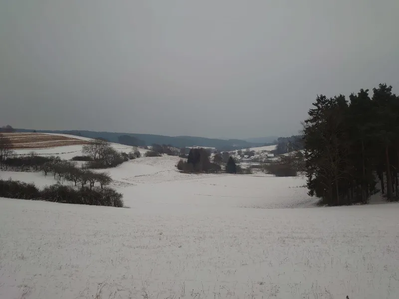 12tel-Blick: Februar 2026