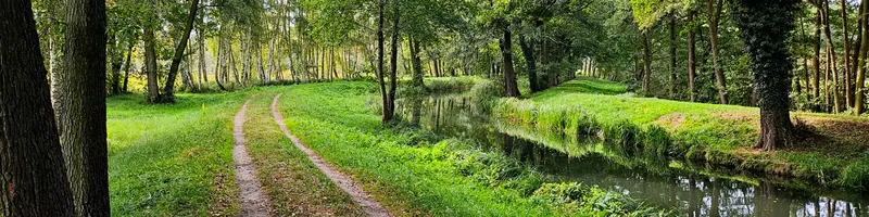 Weite Blicke und Wasserwege im Unterspreewald bei Lübben (18 km)