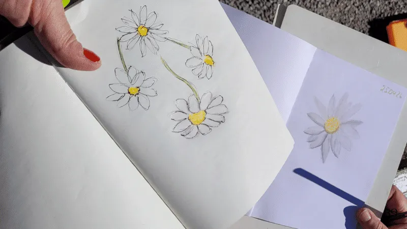 Nature Journaling – das stille Gespräch mit der Natur