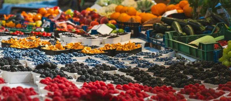 Rosacea Ernährungsplan: Eine Gesunde Haut durch Ernährung!