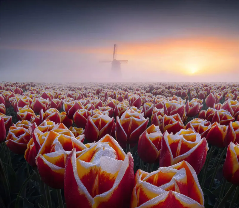 Tolle Naturfotografie von Max Terwindt