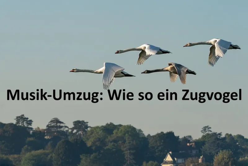 Musik-Umzug: Wie so ein Zugvogel