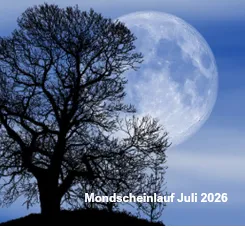 8. Mondscheinlauf 29.7.2026