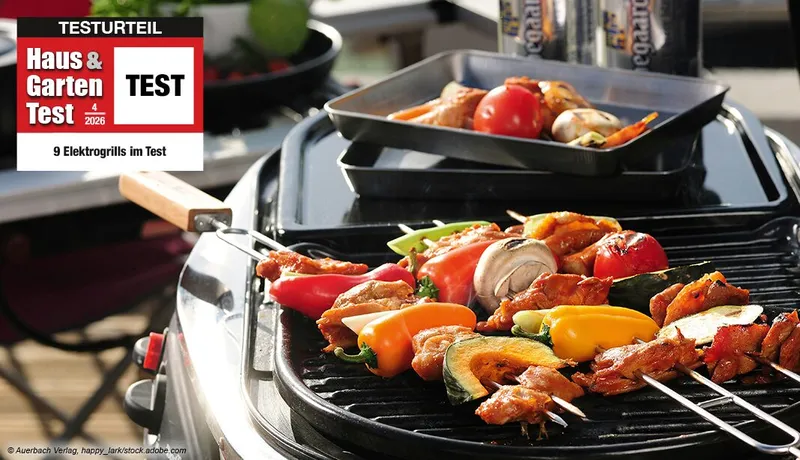 9 Elektrogrills im Test 2026