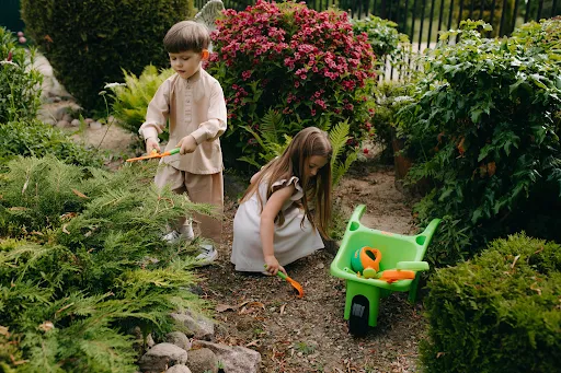 ​Mehr Privatsphäre im Garten: Wie Sichtschutz, Pflanzen und Zäune zusammenspielen