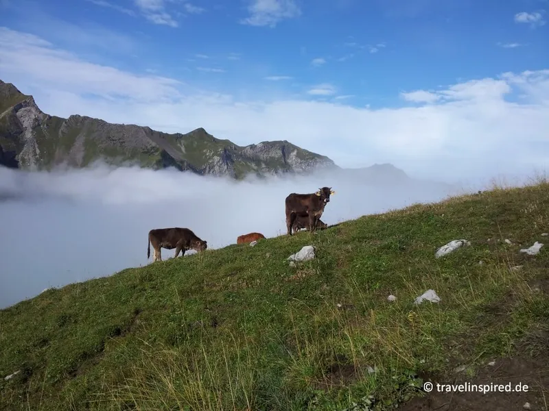 Liechtenstein Urlaub: Tipps für Outdoor-Aktivitäten