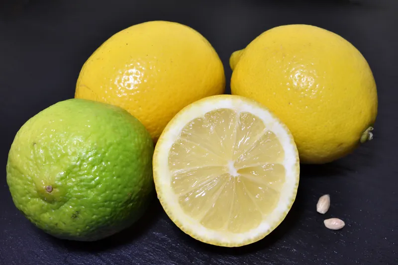 Zitrone, Limone, Limette – worin unterscheiden sie sich?