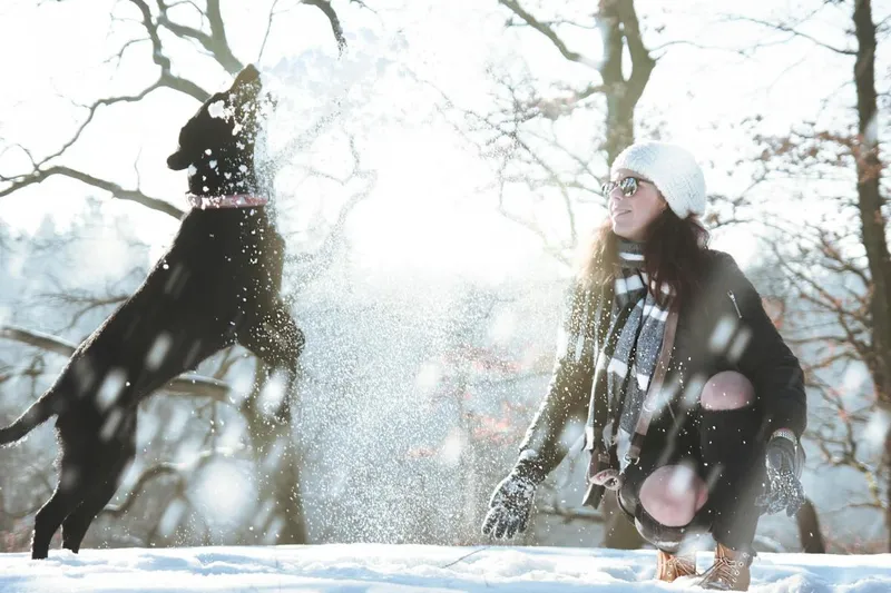 Snow Gastritis in Dogs – How to Recognize, Prevent, and Treat It