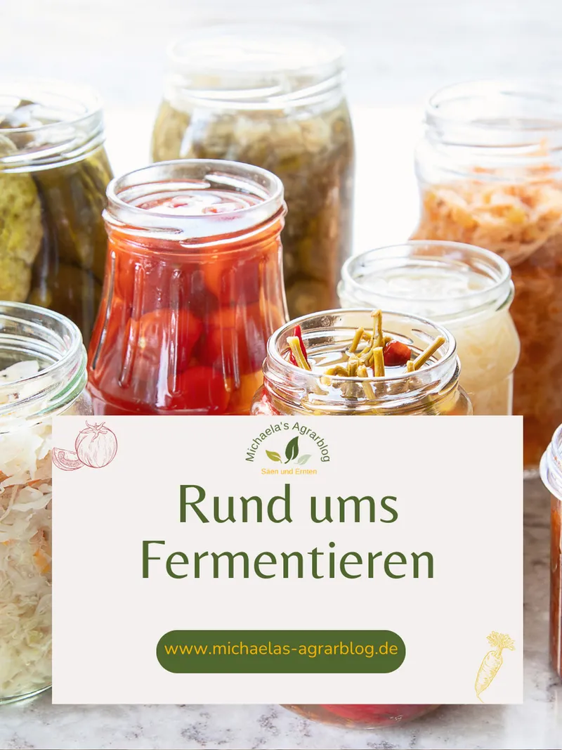 Was ist Ferment/Fermentieren: Die 12 Fakten der Fermentation, die du wissen solltest, bevor du es selbst ausprobierst!