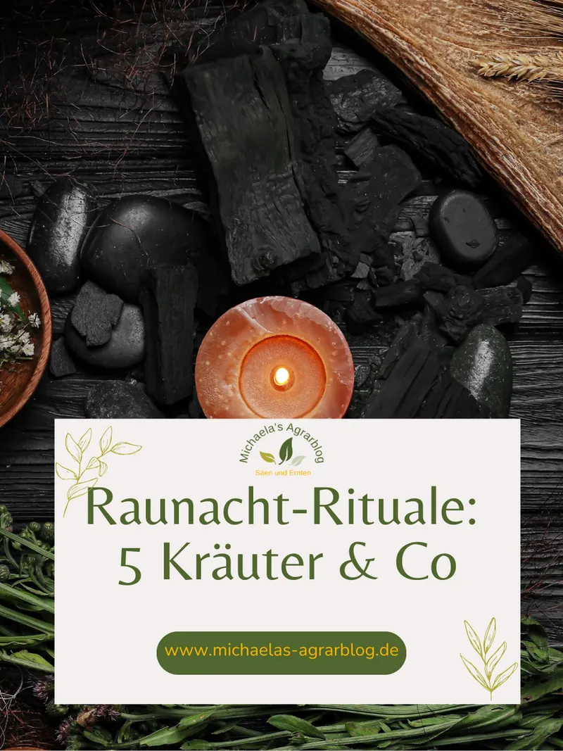 Magische Raunächte im Garten – Rituale zur Wintersonnenwende für Gartenliebhaber