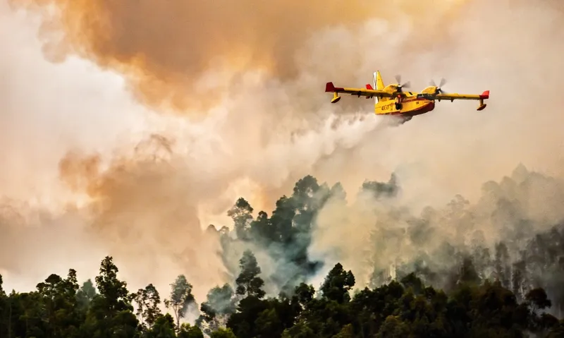 Intensivierung der Waldbrände in Spanien: Ursachen und Folgen