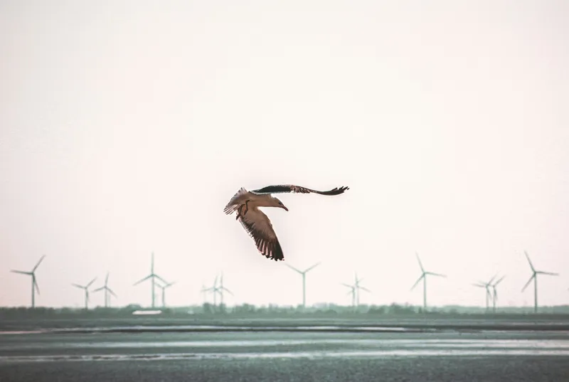 Naturschutz im Dialog: Windkraft neu hinterfragen