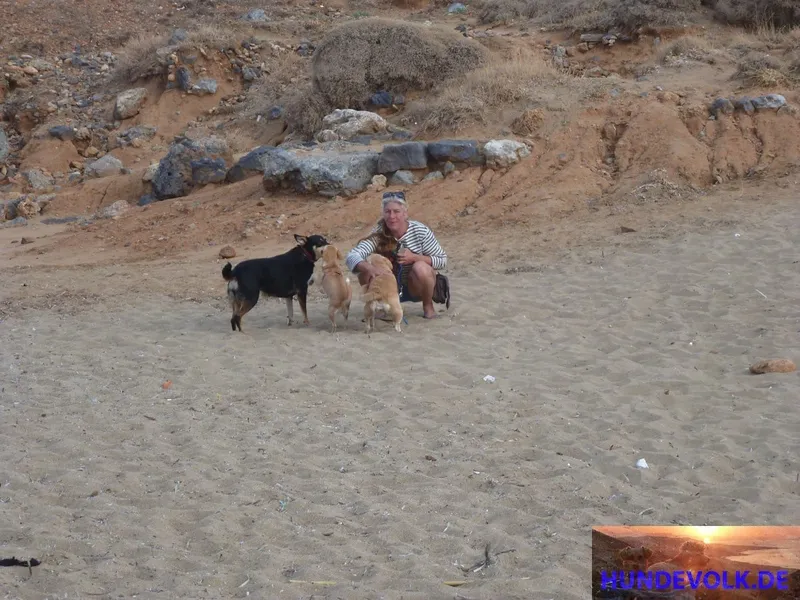 Urlaub mit Hund
