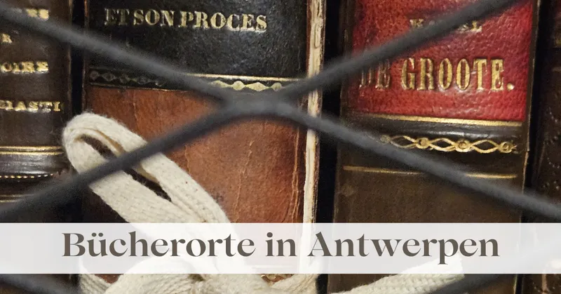 Bücherorte in Antwerpen: Bibliotheken, Buchhandlungen und Druckgeschichte