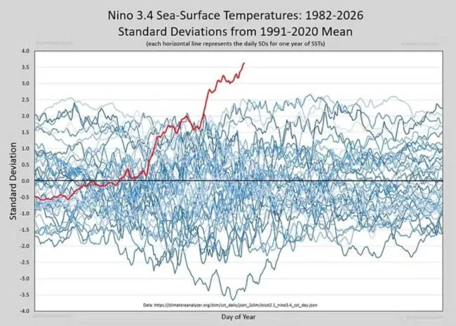 El Niño: krasse Temperaturen im Mittelmeer, so früh wie nie zuvor