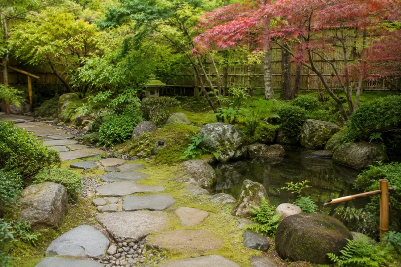 Japanischer Garten Ideen: So entsteht ein ruhiger Rückzugsort mit natürlicher Wirkung